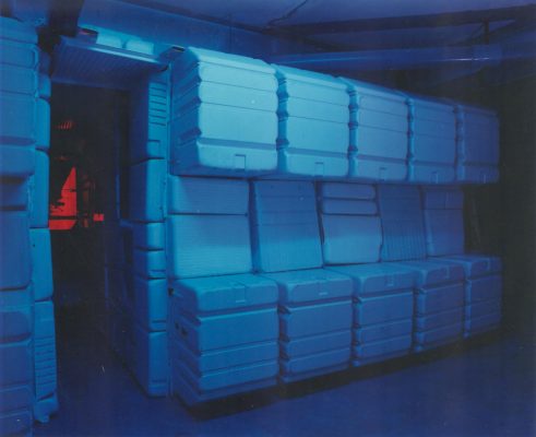 Victor Elberse Celsius 02