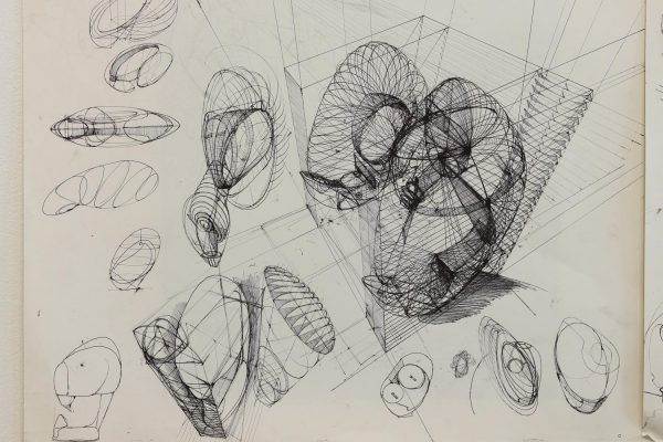 Victor Elberse Nadato1 04