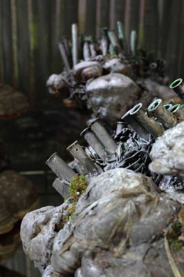 Victor Elberse Hex objects 12