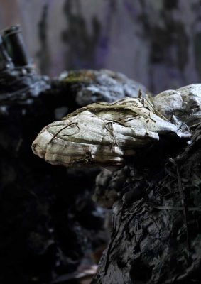 Victor Elberse Hex objects 11